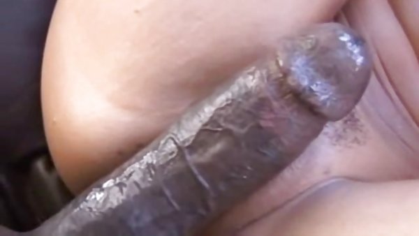 澳大利亚的性别方英国广播公司现场鳕鱼体海滩